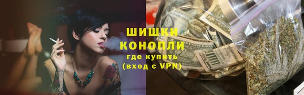 шишки Пестово