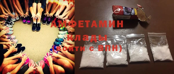 шишки Пестово